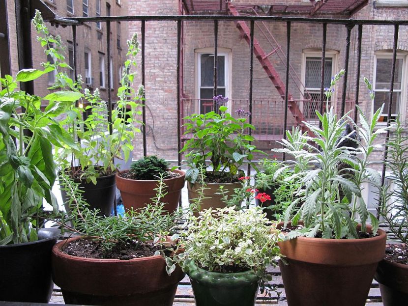 Follow These Home and Garden Blogs